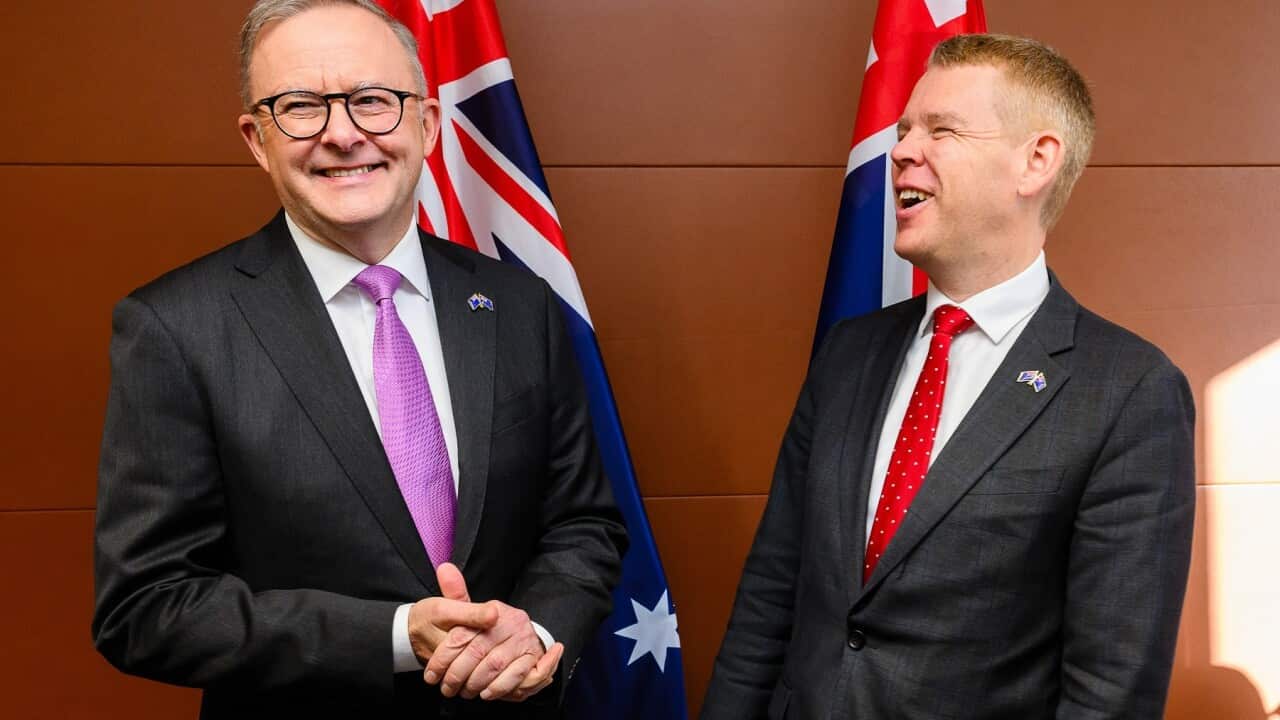 ANTHONY ALBANESE NZ VISIT