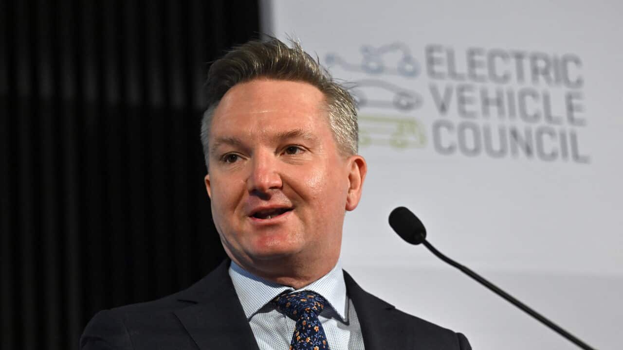 The government plans to develop Australia's electric car market. How will it do? - Sydneyaustoday.com