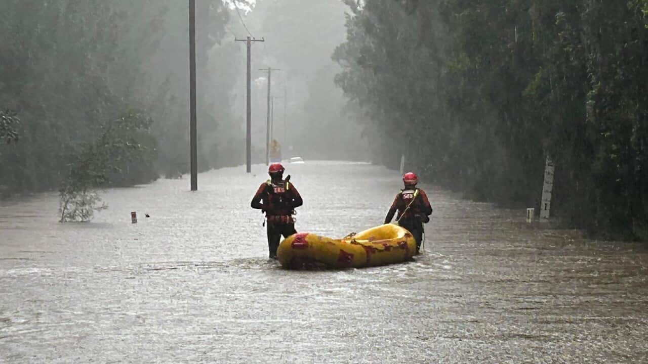 Image for read more article 'READ MORE'