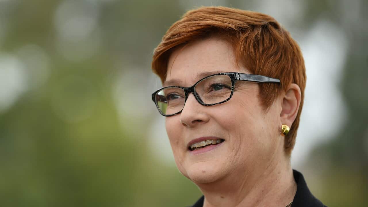 Australian Foreign Affairs Minister Marise Payne speaks to the media at Penrith in Sydney, Monday, May 18, 2020. (AAP Image/Joel Carrett) NO ARCHIVING