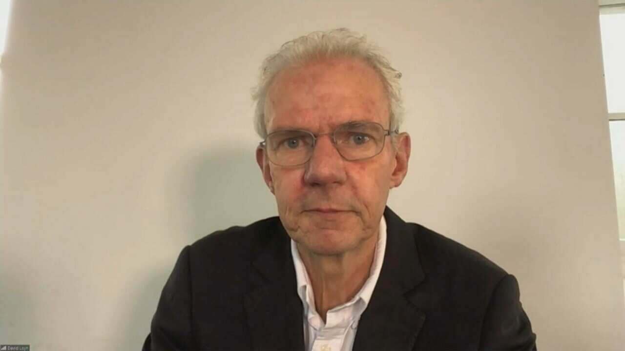 David Loyn
