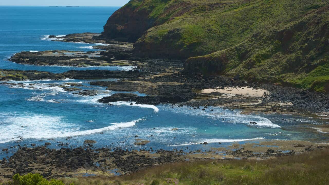 Phillip Island - Victoria, Australia