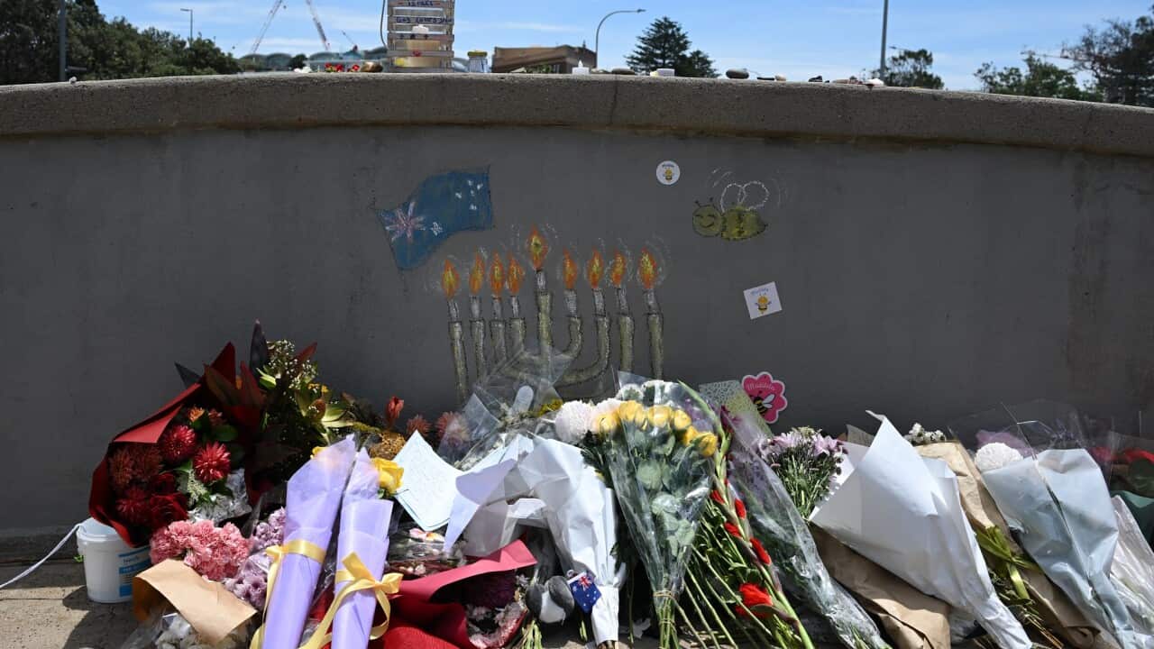 BONDI BEACH SHOOTING