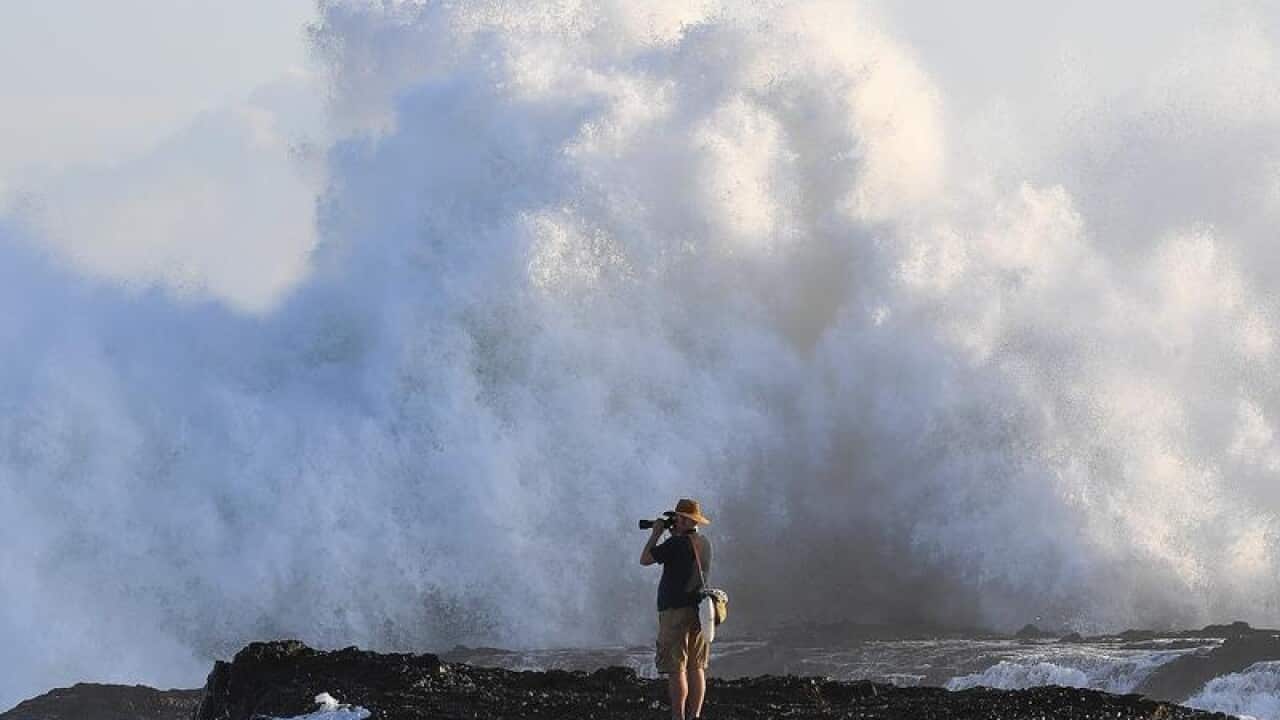 Large surf at Snapper Rocks on the Gold Coast