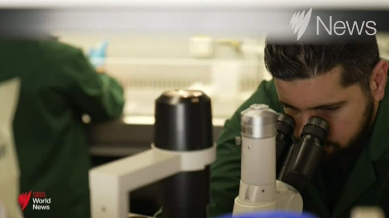 Image for read more article ''