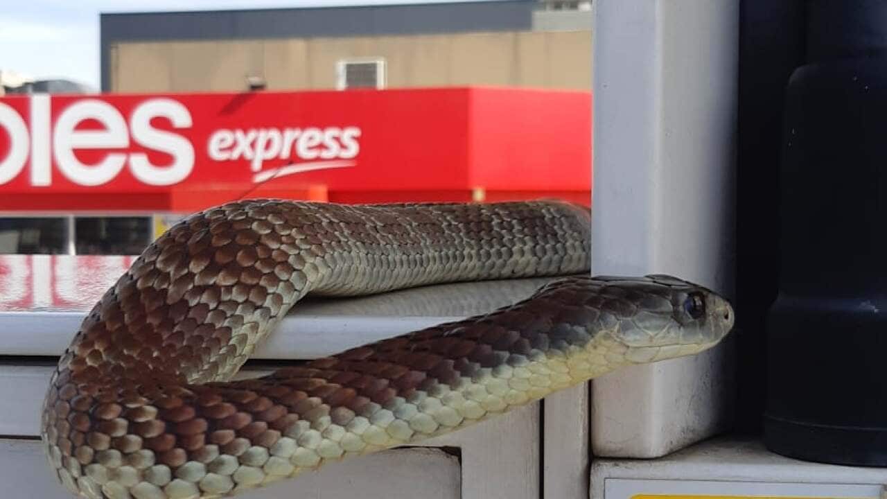 Image for read more article 'READ MORE'