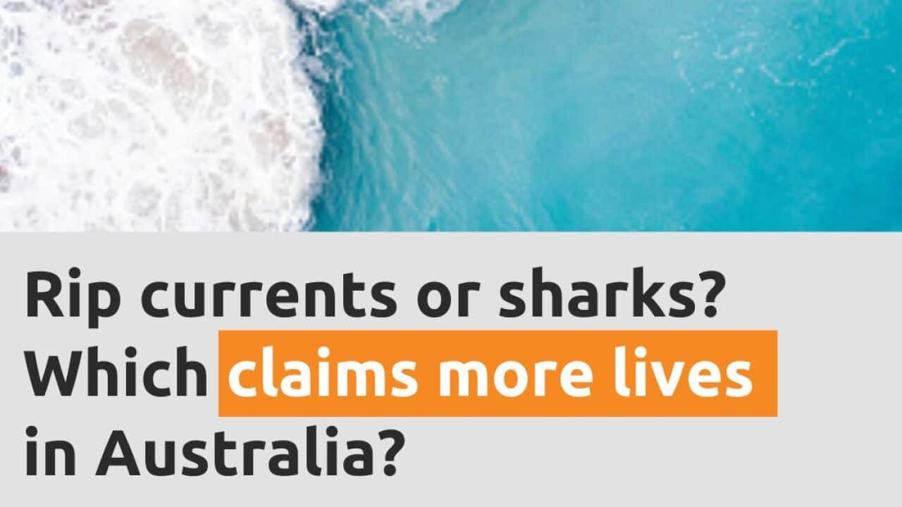 Australia beach threat_photo post.jpg