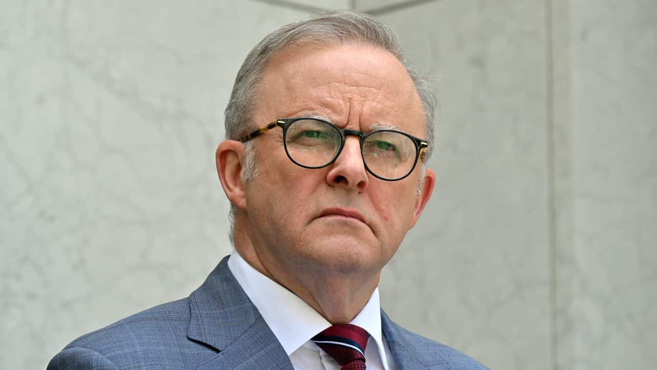 Albanese says Israel’s denial of aid, killing of civilians ‘cannot be defended or ignored’ Albanese says Israel’s denial of aid, killing of civilians ‘cannot be defended or ignored’