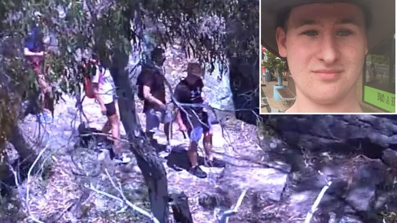 Lost Victorian hiker asked for chicken parmigiana after being found - Vimarsana News