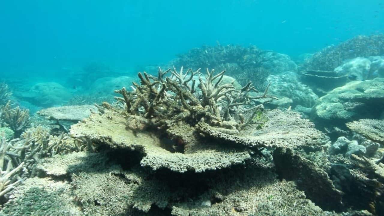 Great Barrier Reef