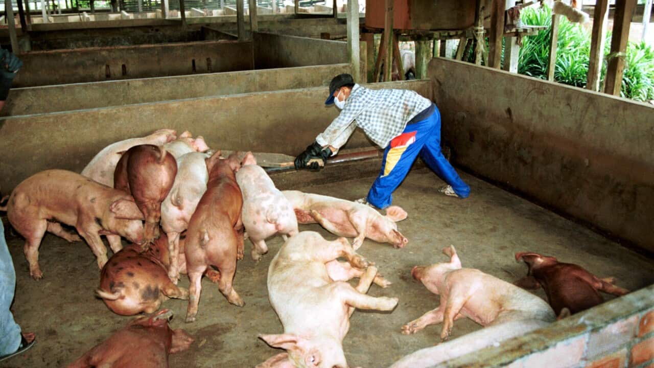 Image for read more article 'READ MORE'