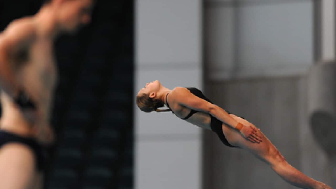 commonwealth_diving_team_100217_B_aap_564750816