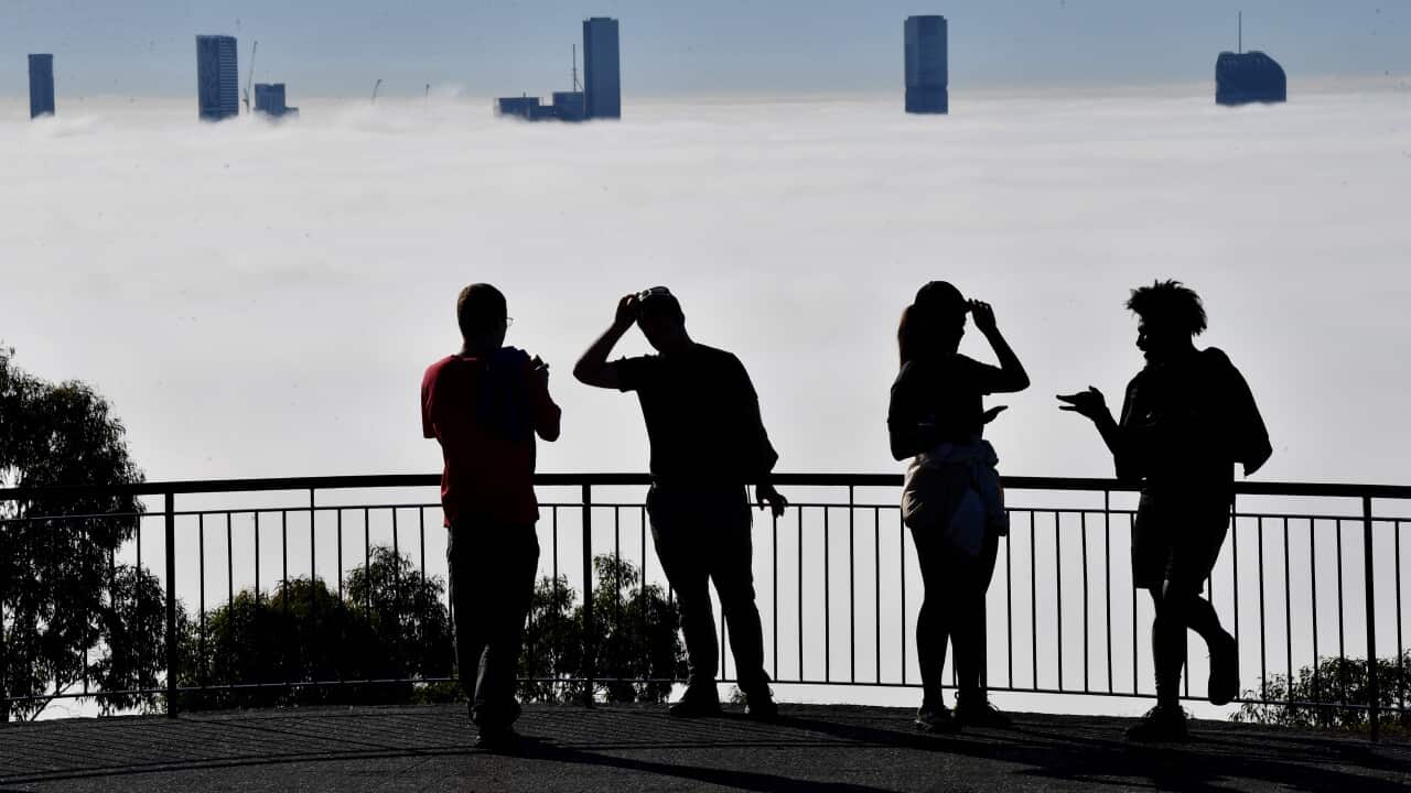 BRISBANE FOG