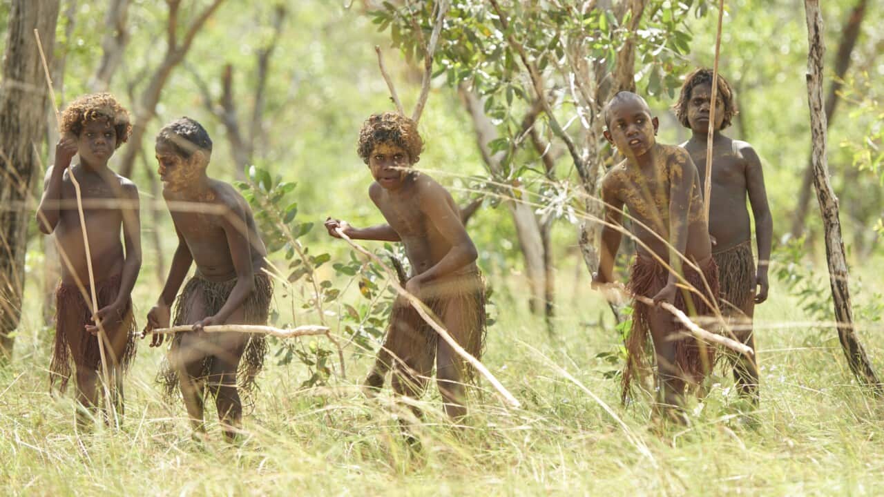Image for read more article 'NITV's Indigenous Language Season'