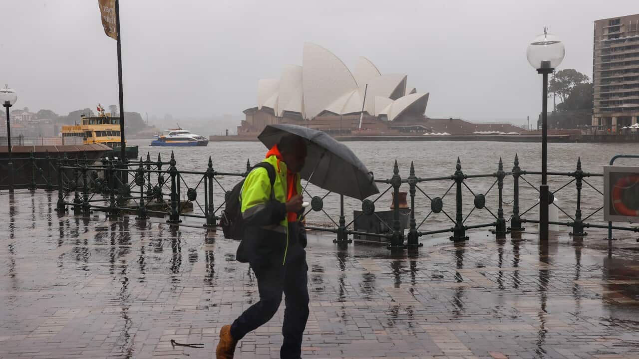 A man wearing a hi vis jacket walks in the rain, holding an umbrella, with the Sydney Opera House behind him.