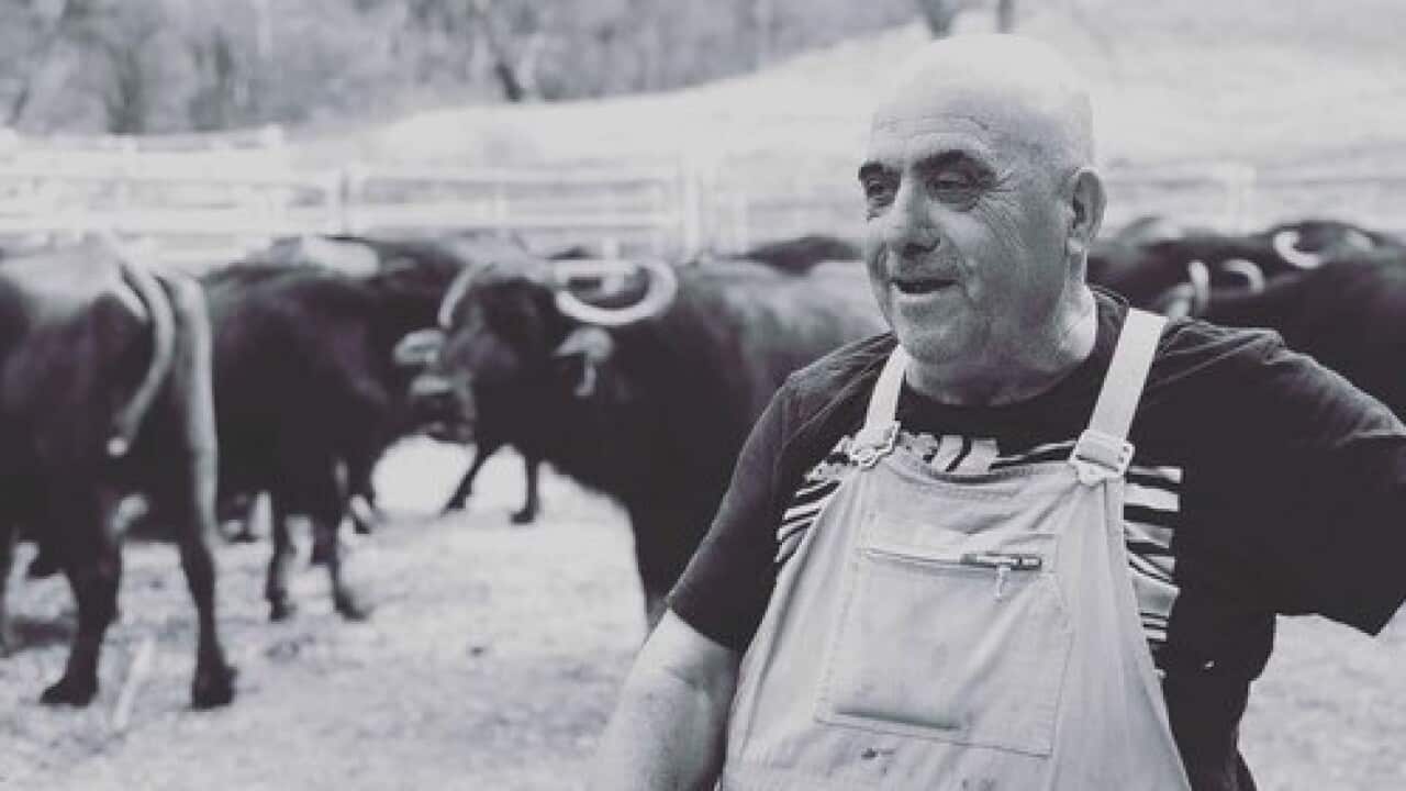 Leonardo Gulli in the countryside with some buffalos