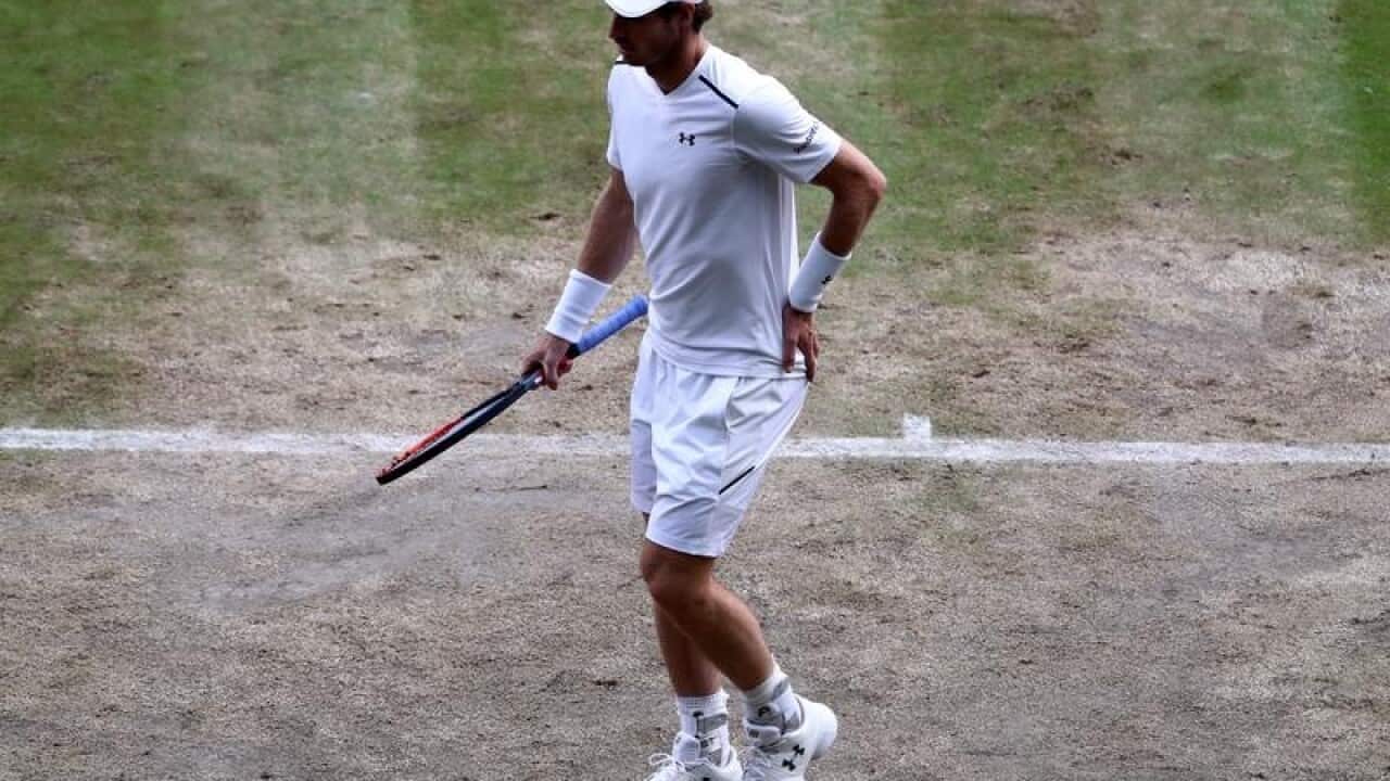 Andy Murray.