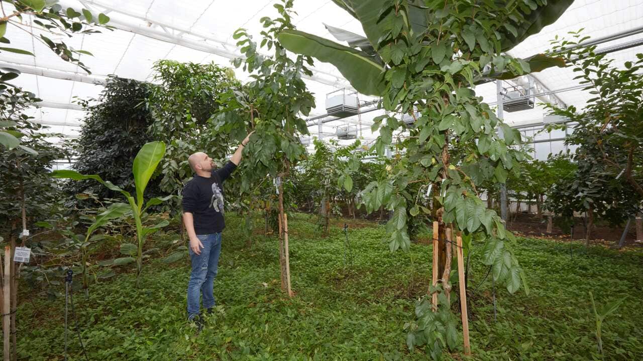 Leiter des Tropenhauses Ralf Schmitt im Tropenhaus