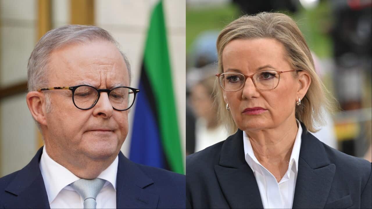 Image for read more article 'READ MORE'