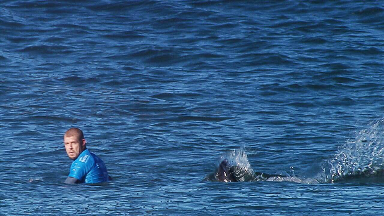 Australian surfer Mick Fanning