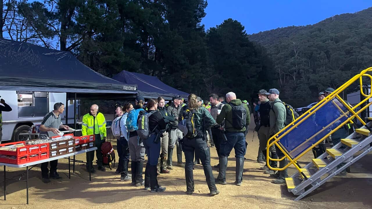 A group of people standing on a dirt path in front of bushland.