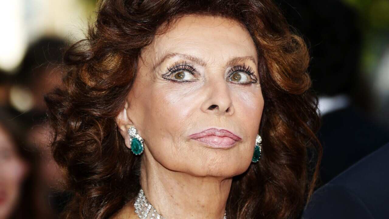 Screen siren Sophia Loren