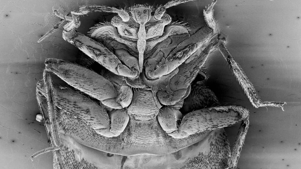 Image for read more article ''