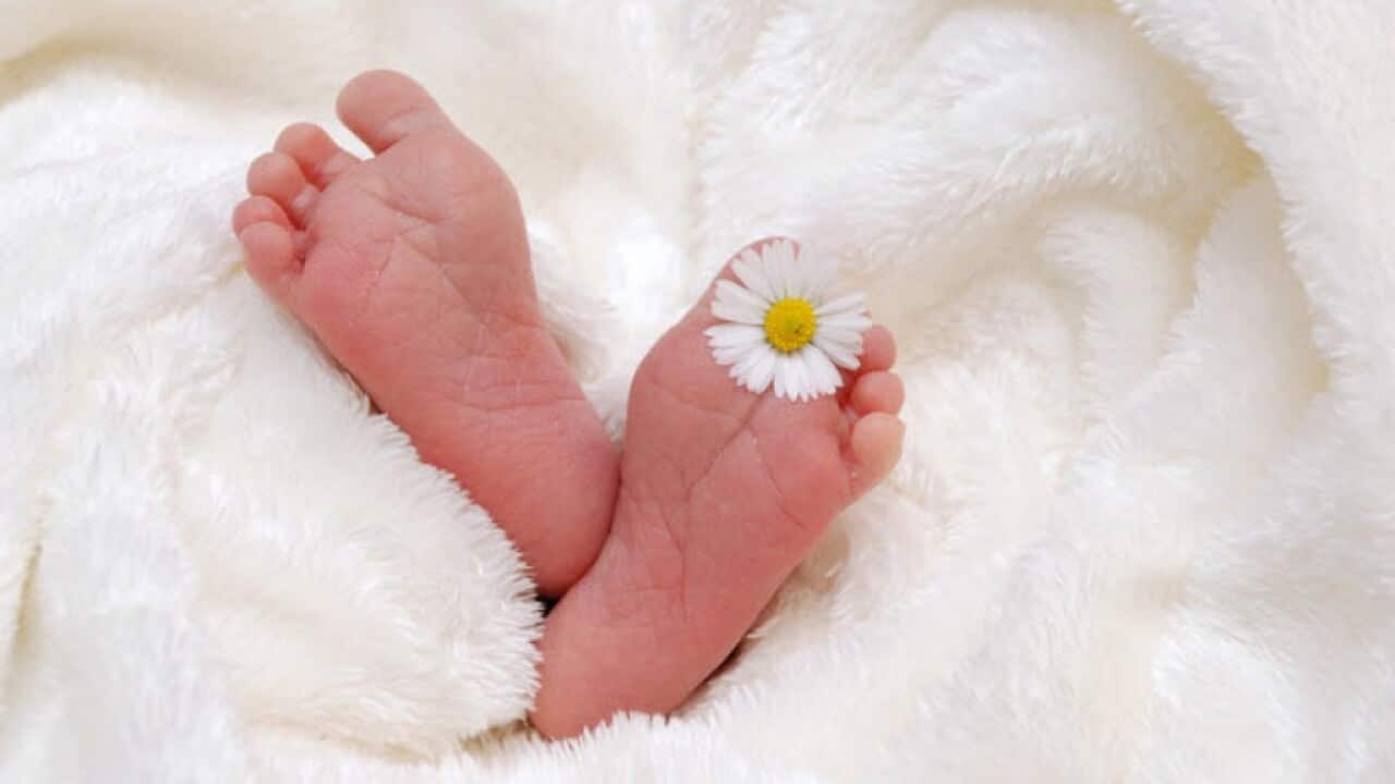 small baby feet wrapped in blanket