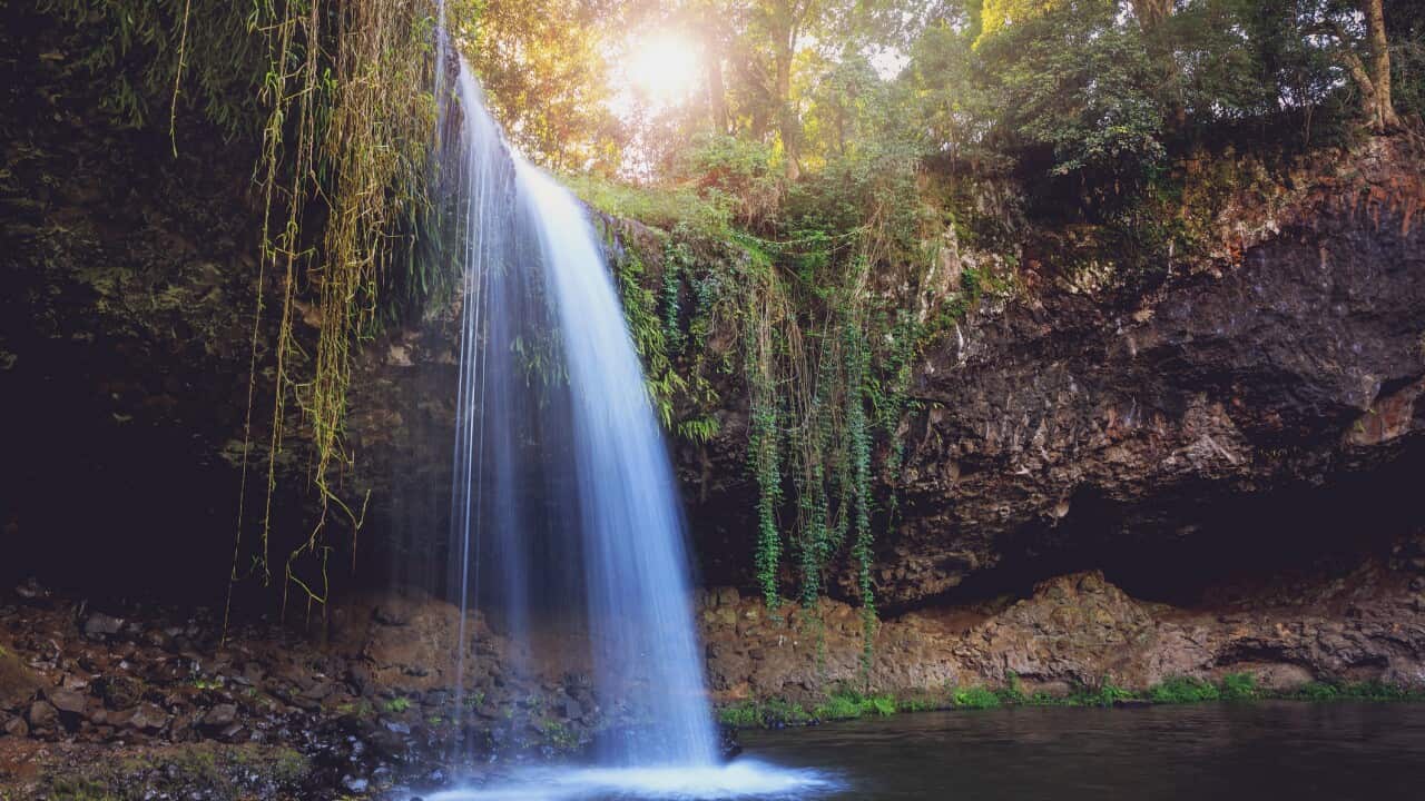 Killen Falls - Pristine Waterfall Australia