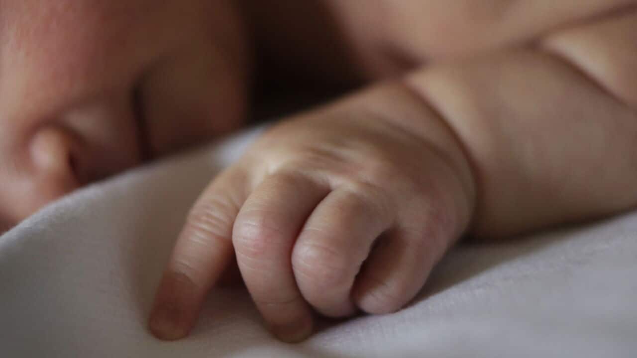 Doctors condemn chiropractor group’s ‘scary’ move to resume spinal manipulation of babies Doctors condemn chiropractor group’s ‘scary’ move to resume spinal manipulation of babies