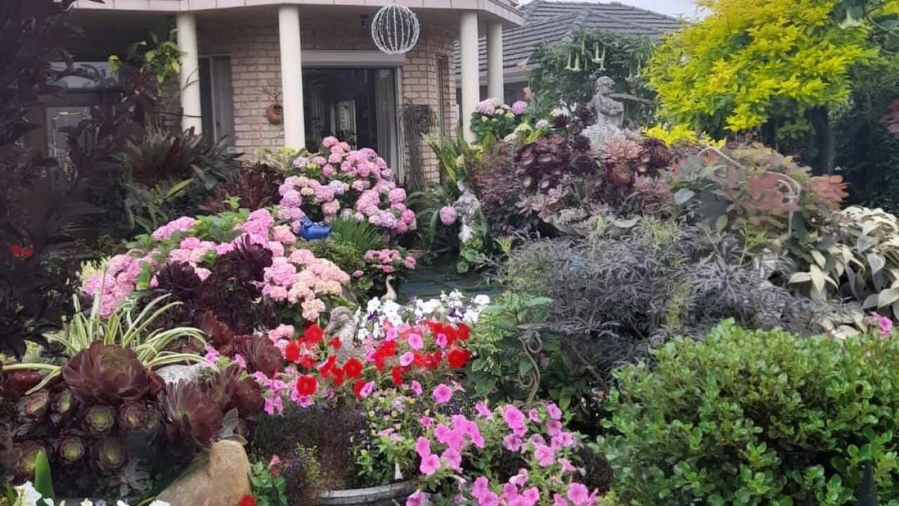 Doris Meilak garden 2.jpg