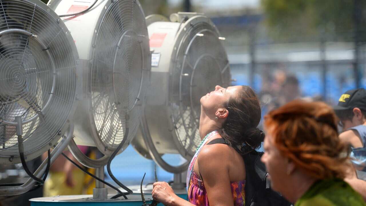 A heatwave is hitting NSW and Qld: Here’s what you can do to beat the heat