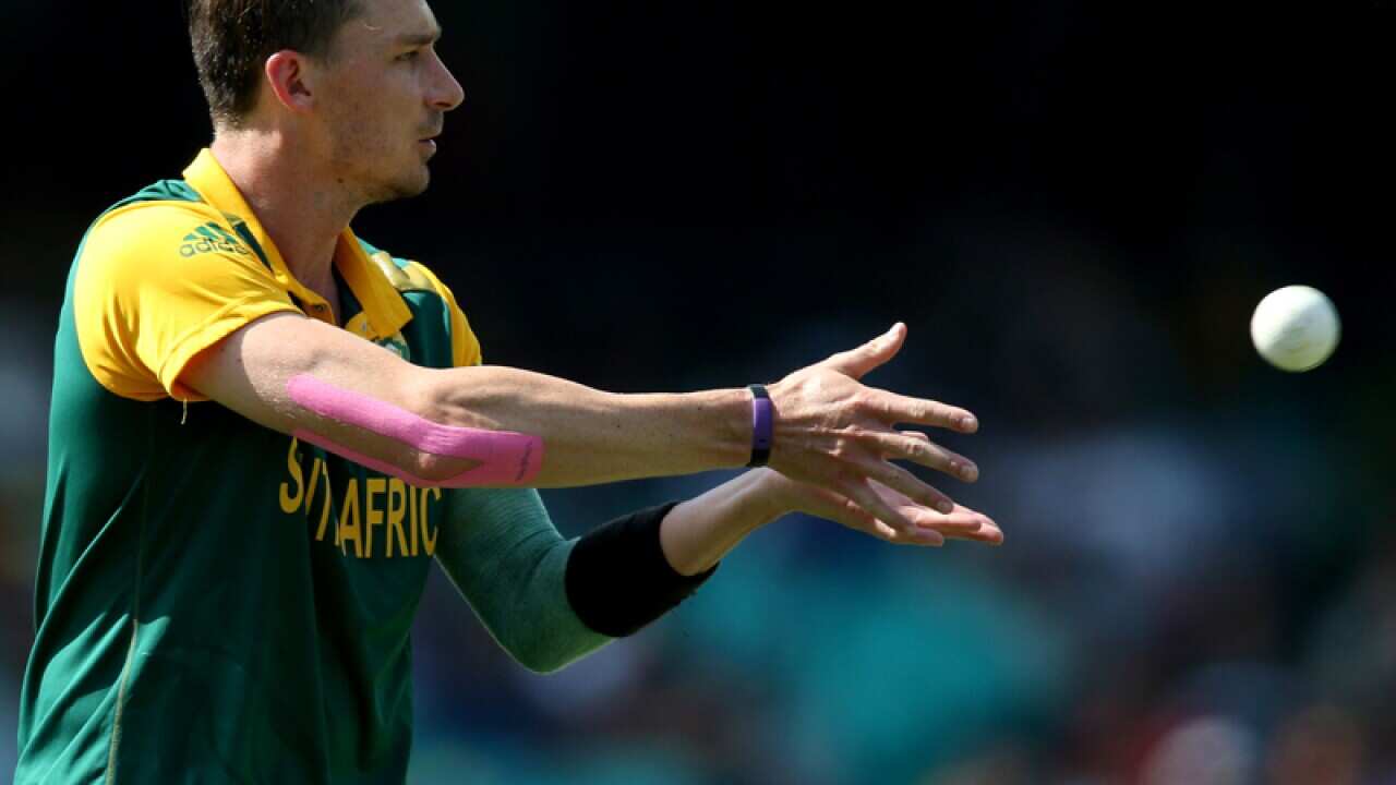South African bowler Dale Steyn