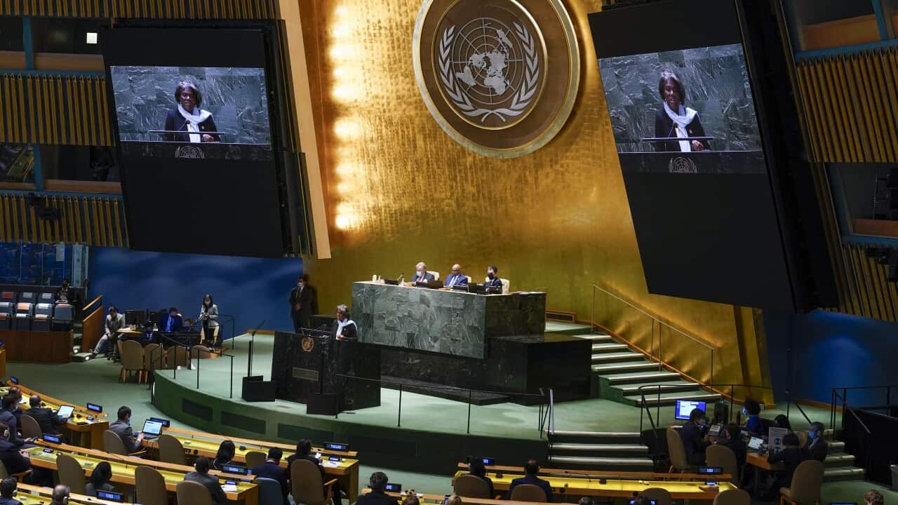 Image for read more article 'READ MORE'