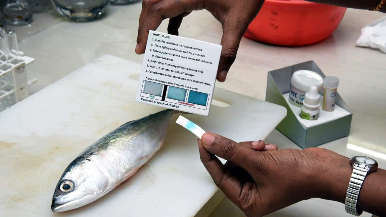 Chemical testing kit