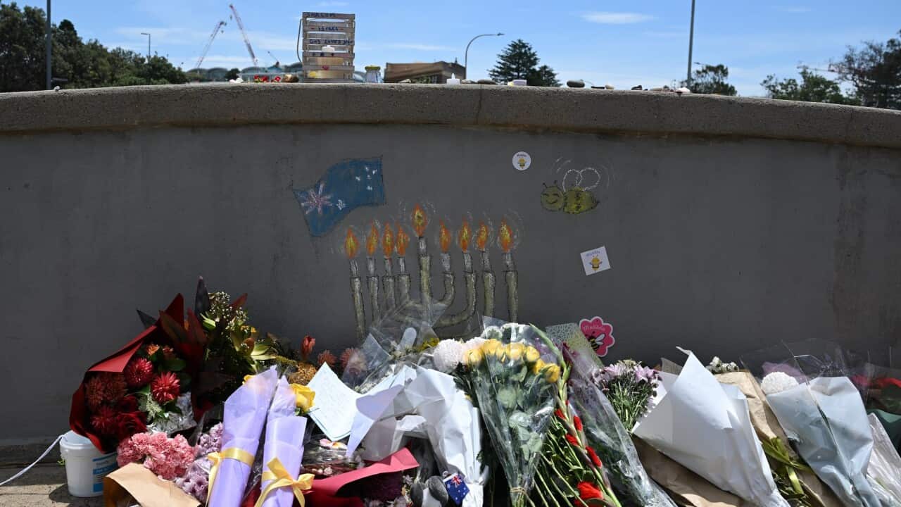 BONDI BEACH SHOOTING