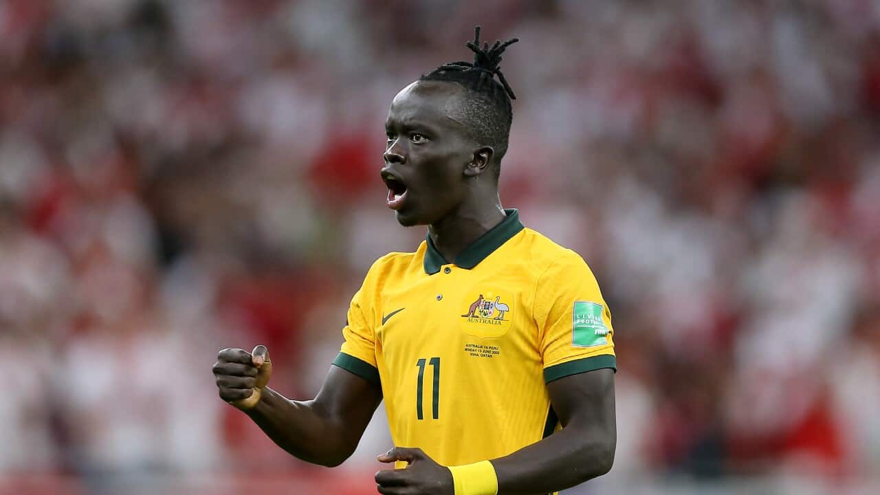 Image for read more article 'READ MORE'