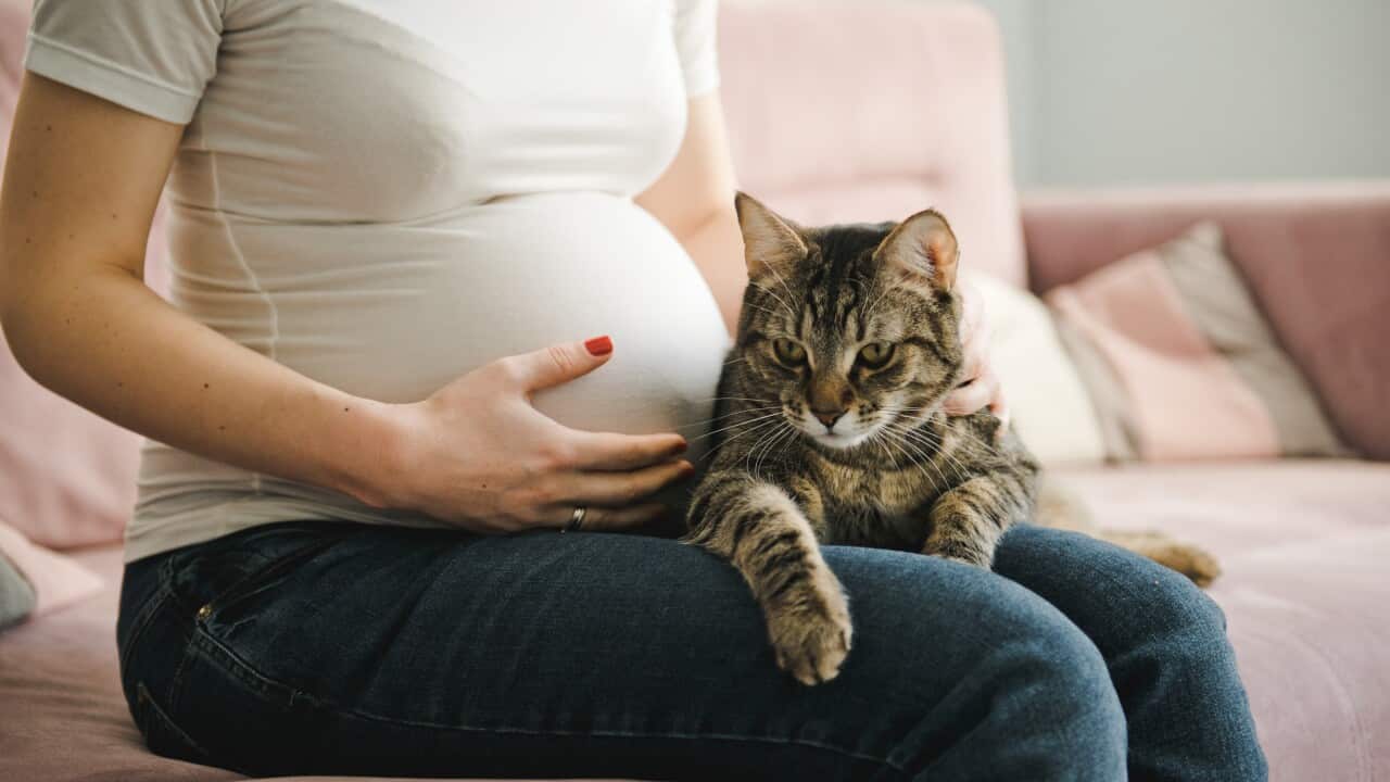 Image for read more article '阅读更多'