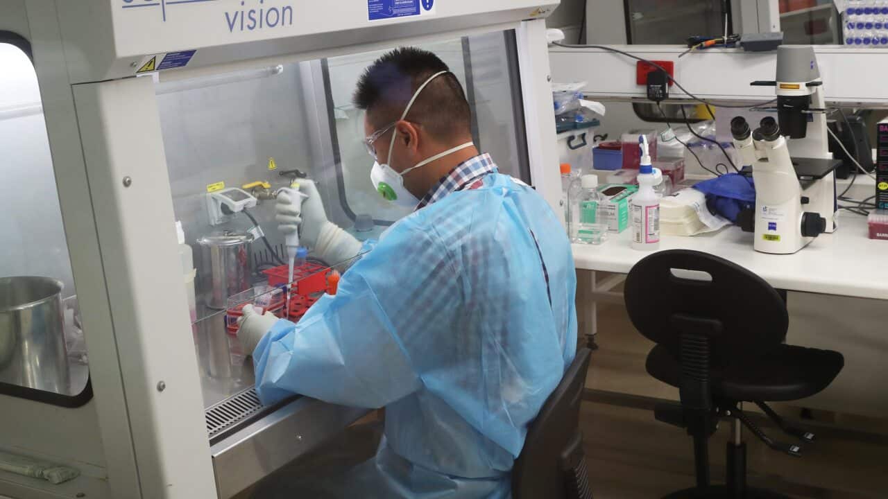 A scientist is seen at work