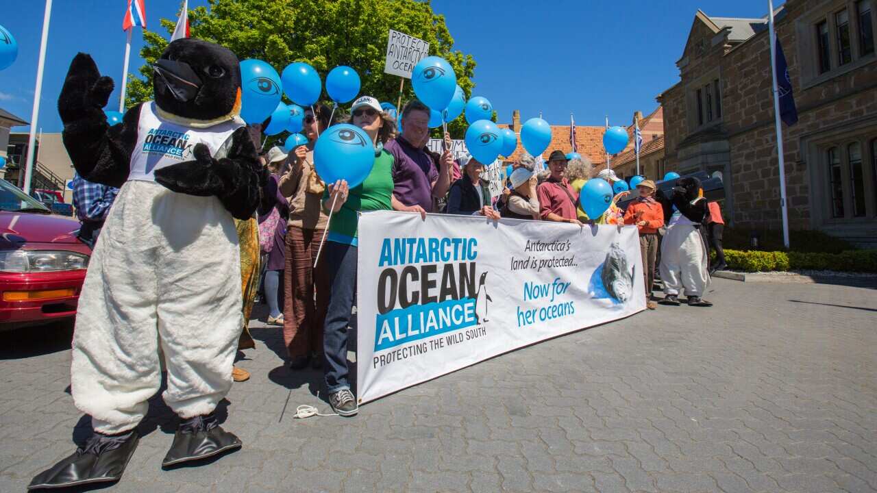 Antarctic Ocean Alliance activists rally in Hobart as scientists gather for the CCAMLR meeting - AOA.jpg