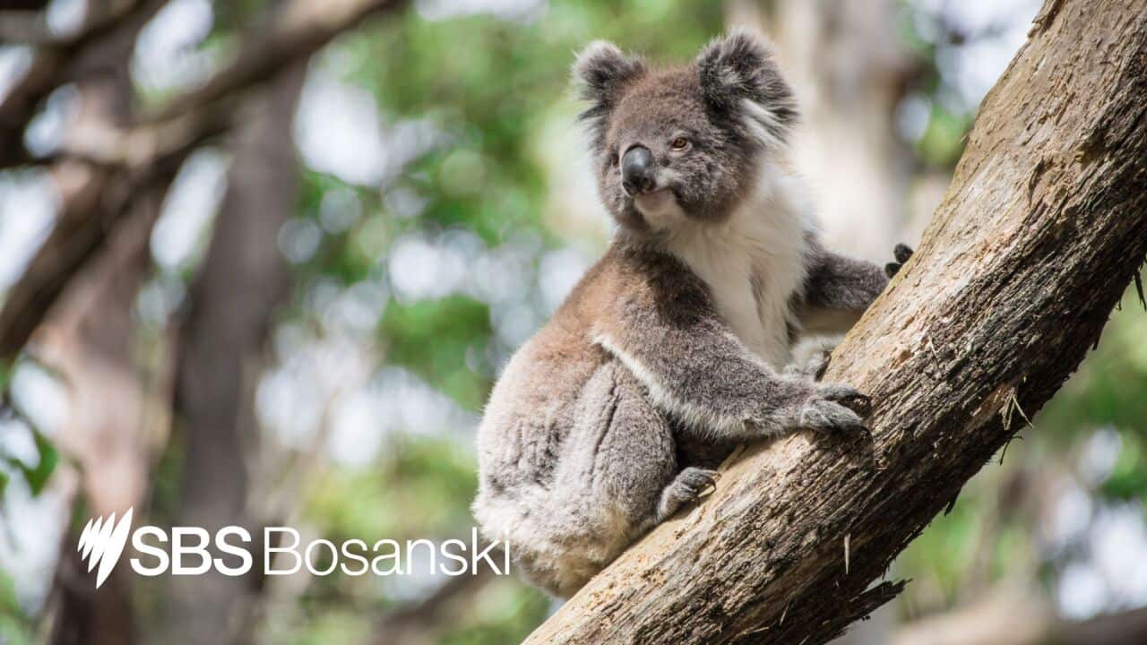 Untitled design (1).jpg