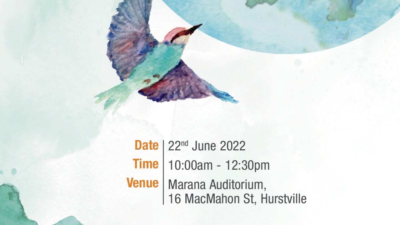 CASS Multicultural Performance 2022.jpg