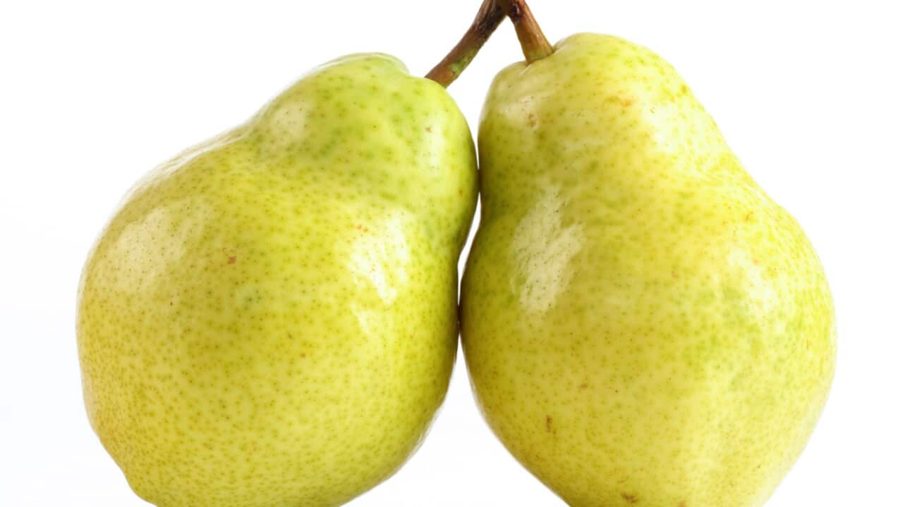 Pears