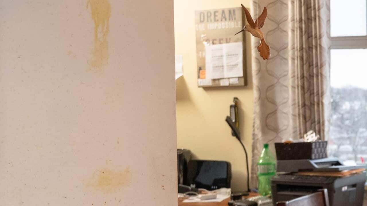 Putting a kettle with vegetables in the stove. School