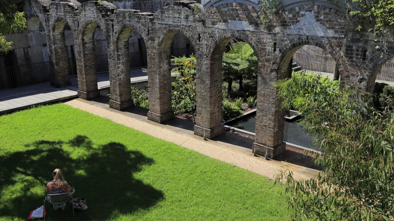 Image for read more article 'READ MORE'