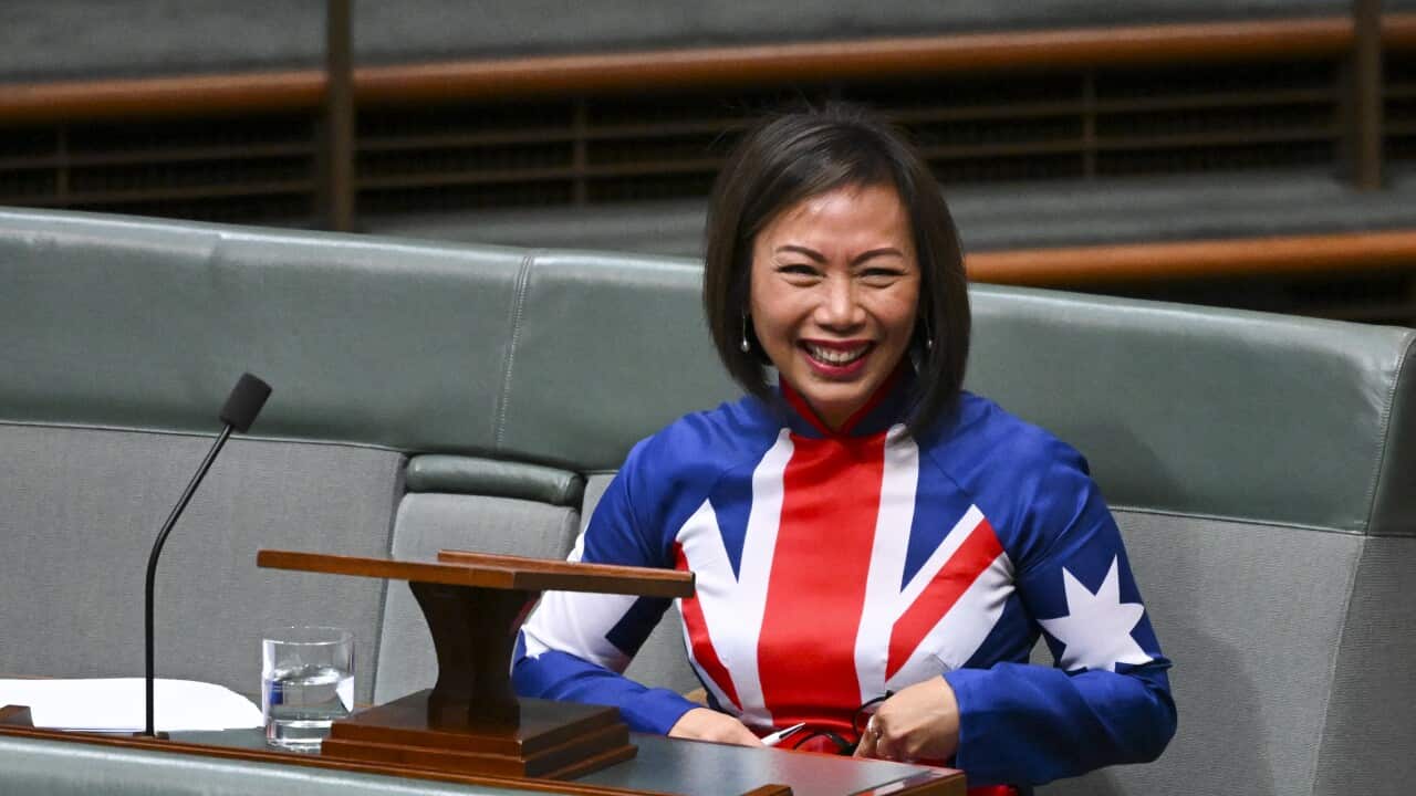 Dai Le in the House of Representatives while wearing a dress featuring the Australian flag.