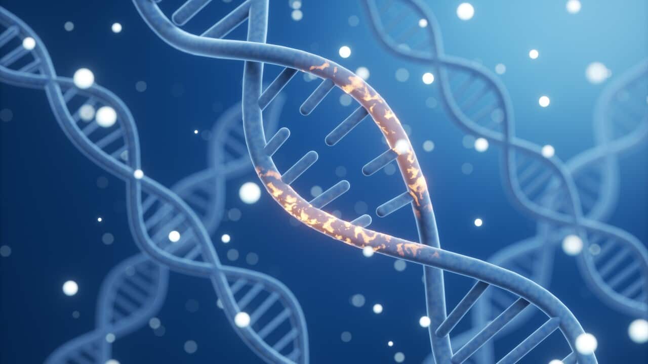 Science biotechnology DNA chromosome, 3D rendering