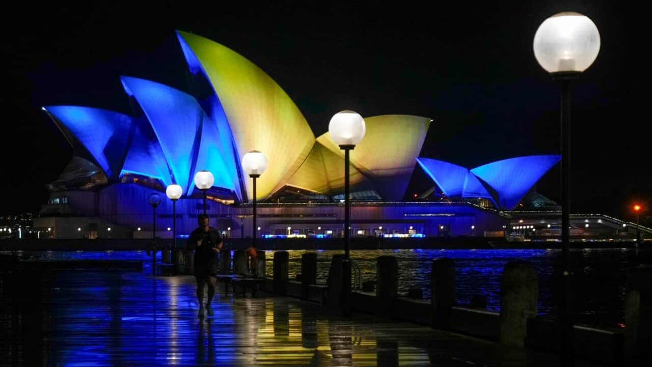 시드니 오페라 하우스 우크라이나/ Sydney Opera House are lit up in the colours of the Ukrainian national flag