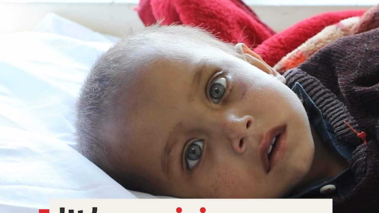 Image for read more article ''