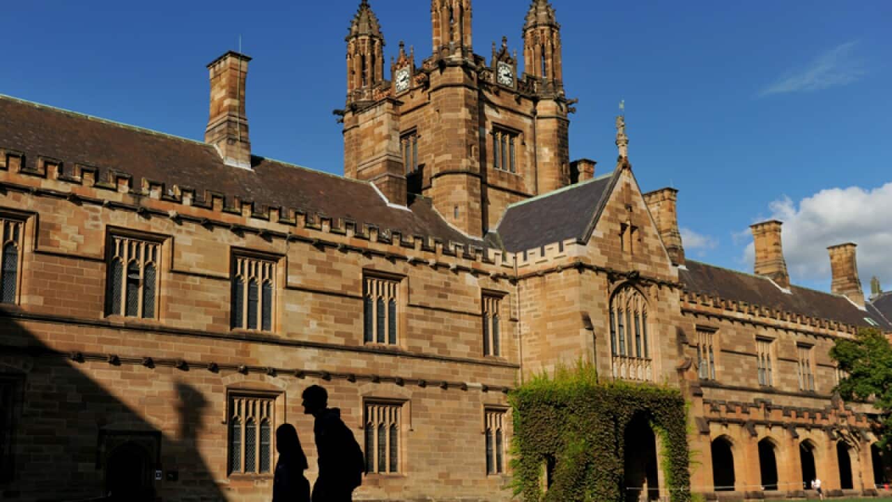 The University of Sydney